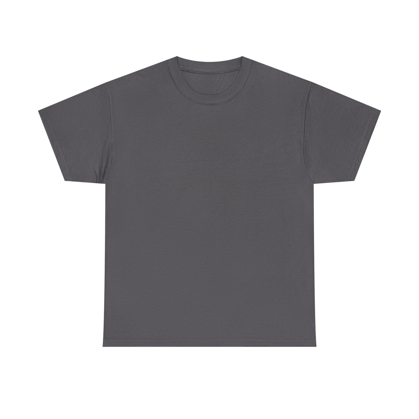 Soccer Star Graphic Tee Back — Argentina Striped Jersey Player Design