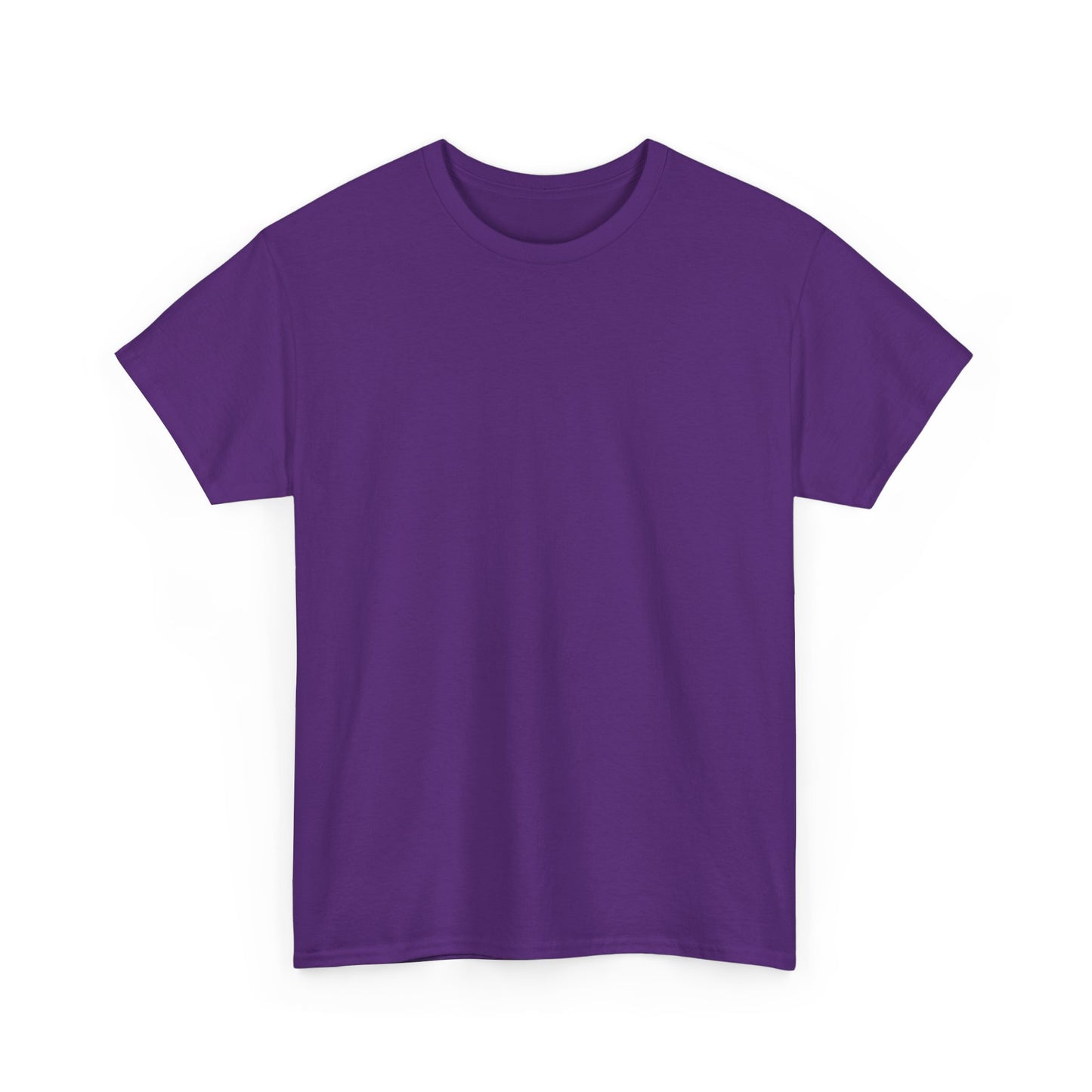 Soccer Star Graphic Tee Back — Argentina Striped Jersey Player Design
