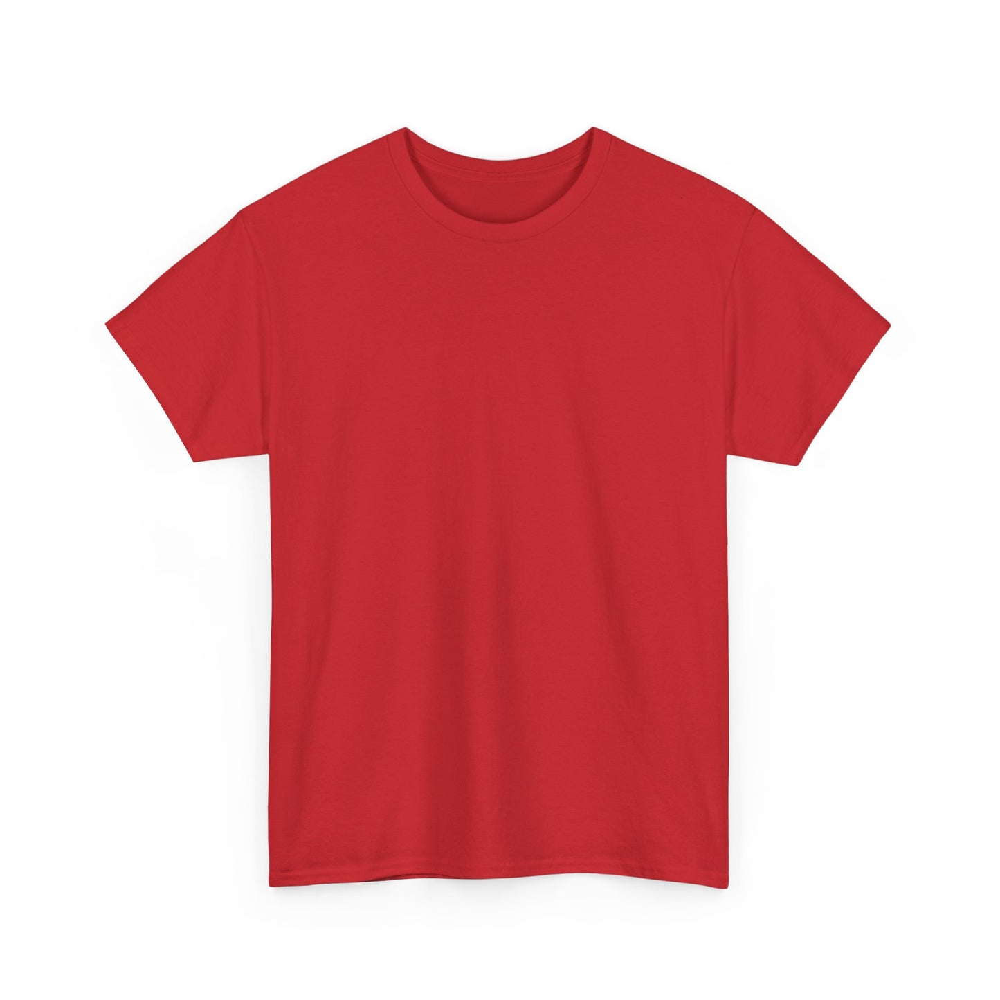 Soccer Star Graphic Tee Back — Argentina Striped Jersey Player Design