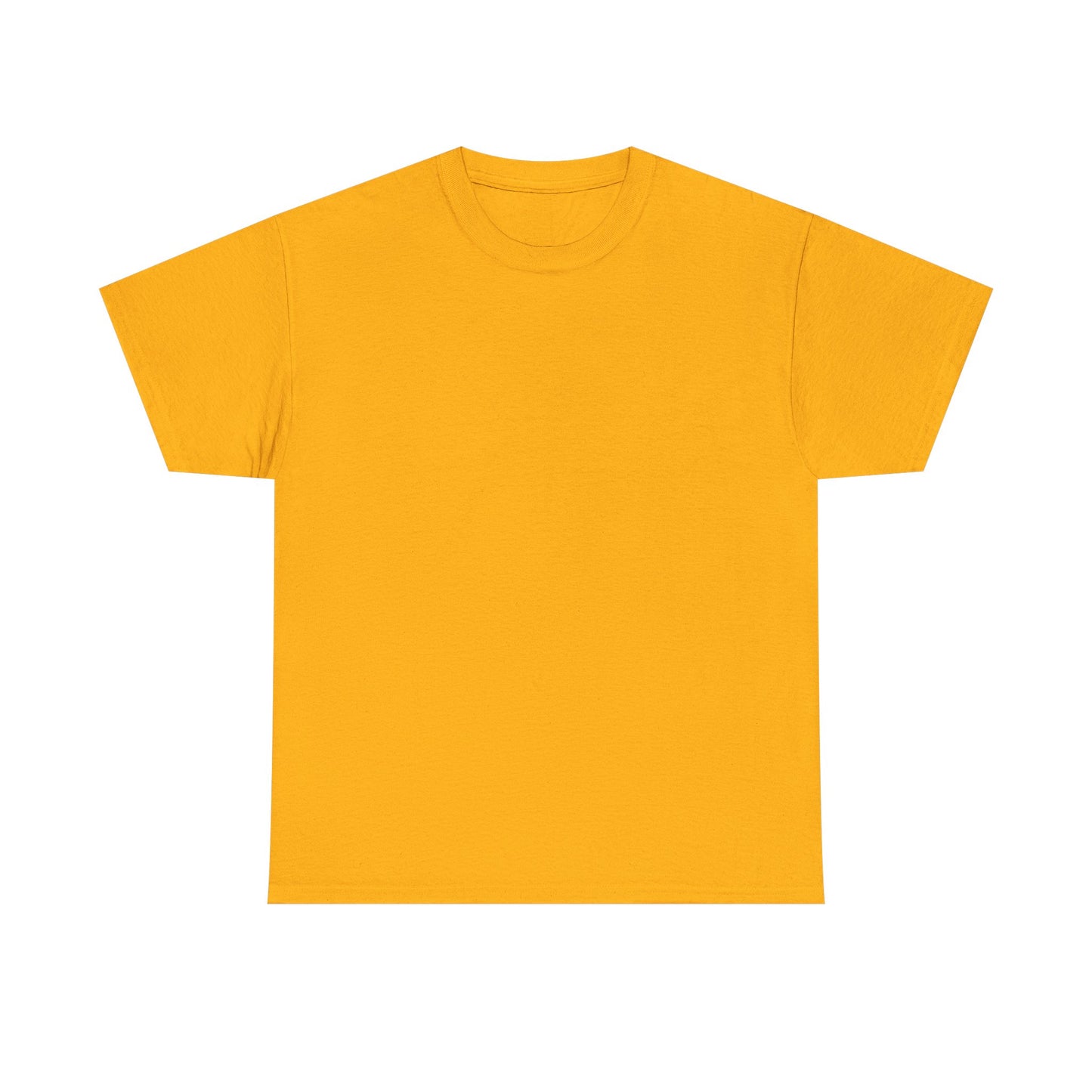 Soccer Star Graphic Tee Back — Argentina Striped Jersey Player Design