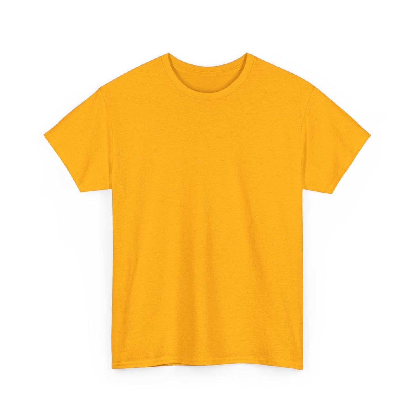 Soccer Star Graphic Tee Back — Argentina Striped Jersey Player Design