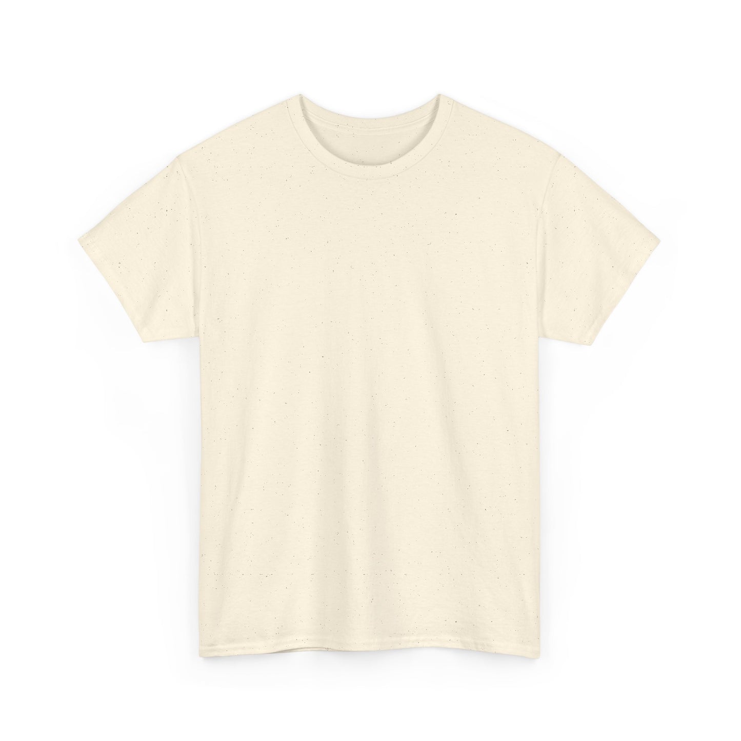 Soccer Star Graphic Tee Back — Argentina Striped Jersey Player Design