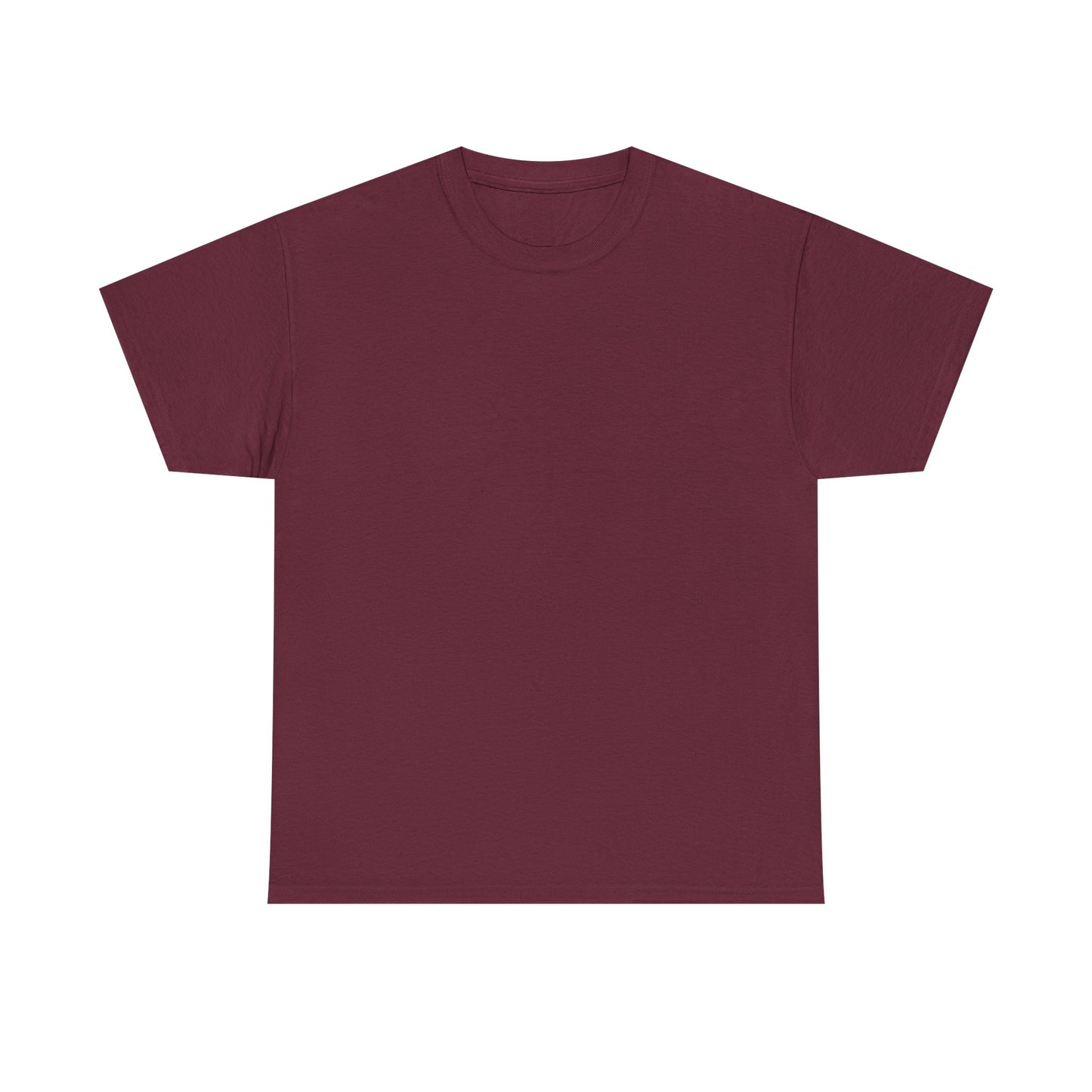 Soccer Star Graphic Tee Back — Argentina Striped Jersey Player Design
