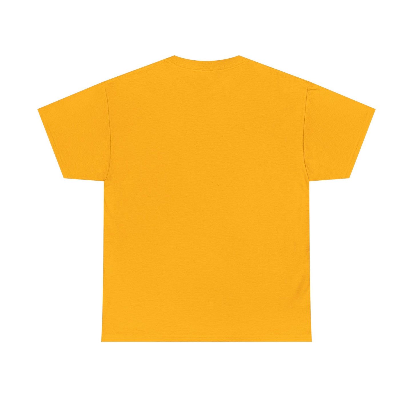 Soccer Star Graphic Tee Front — Argentina Striped Jersey Player Design