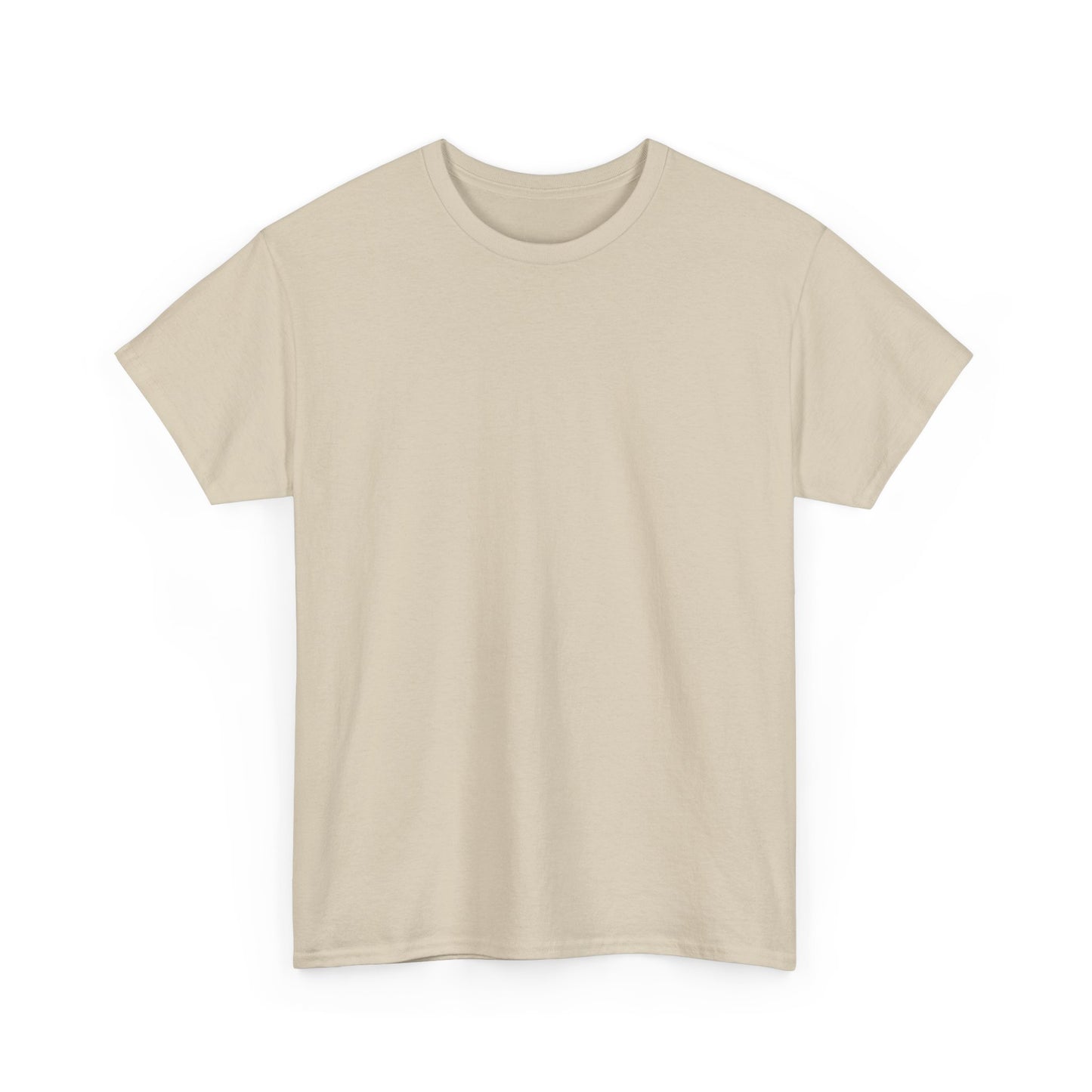 Soccer Star Graphic Tee Back — Argentina Striped Jersey Player Design