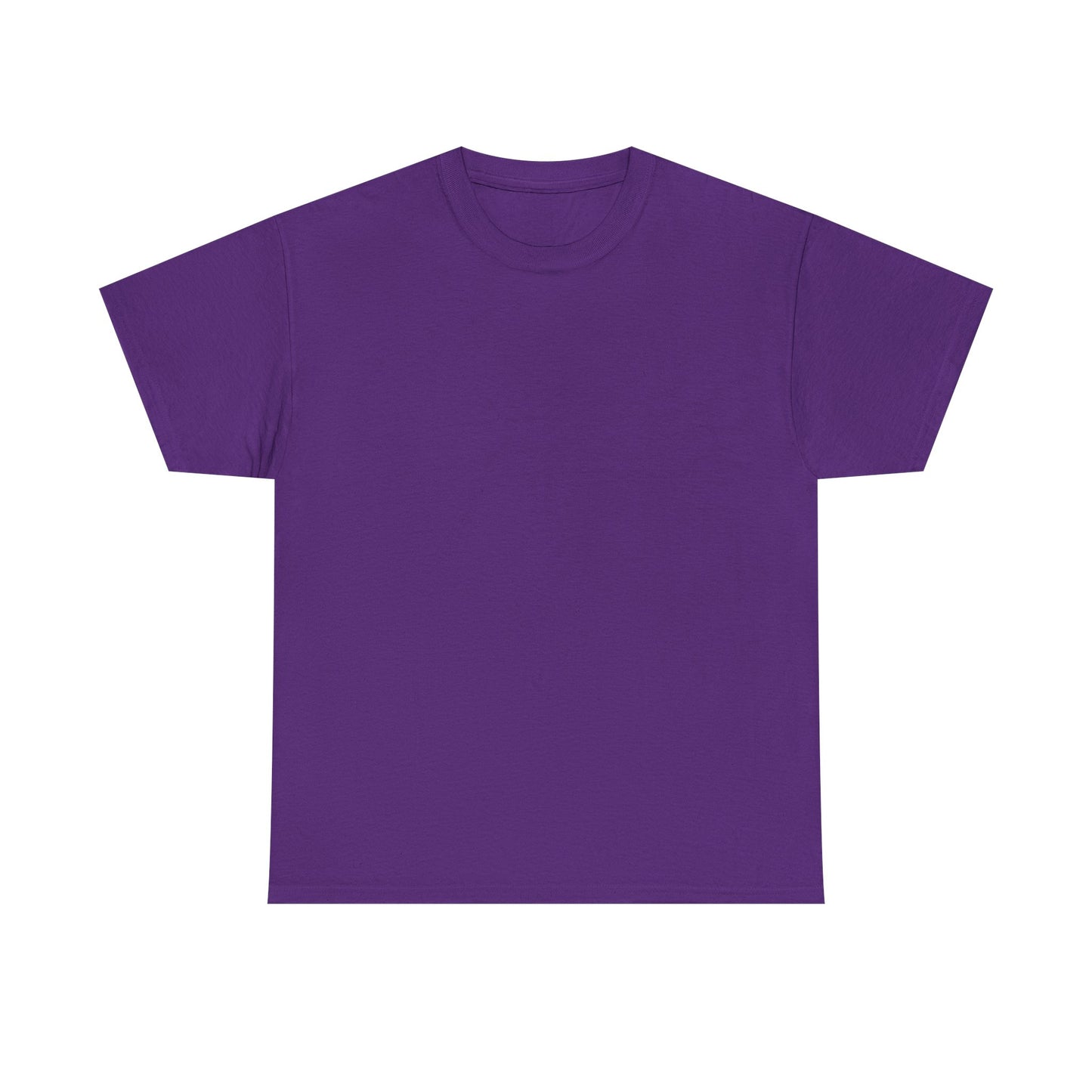 Soccer Star Graphic Tee Back — Argentina Striped Jersey Player Design