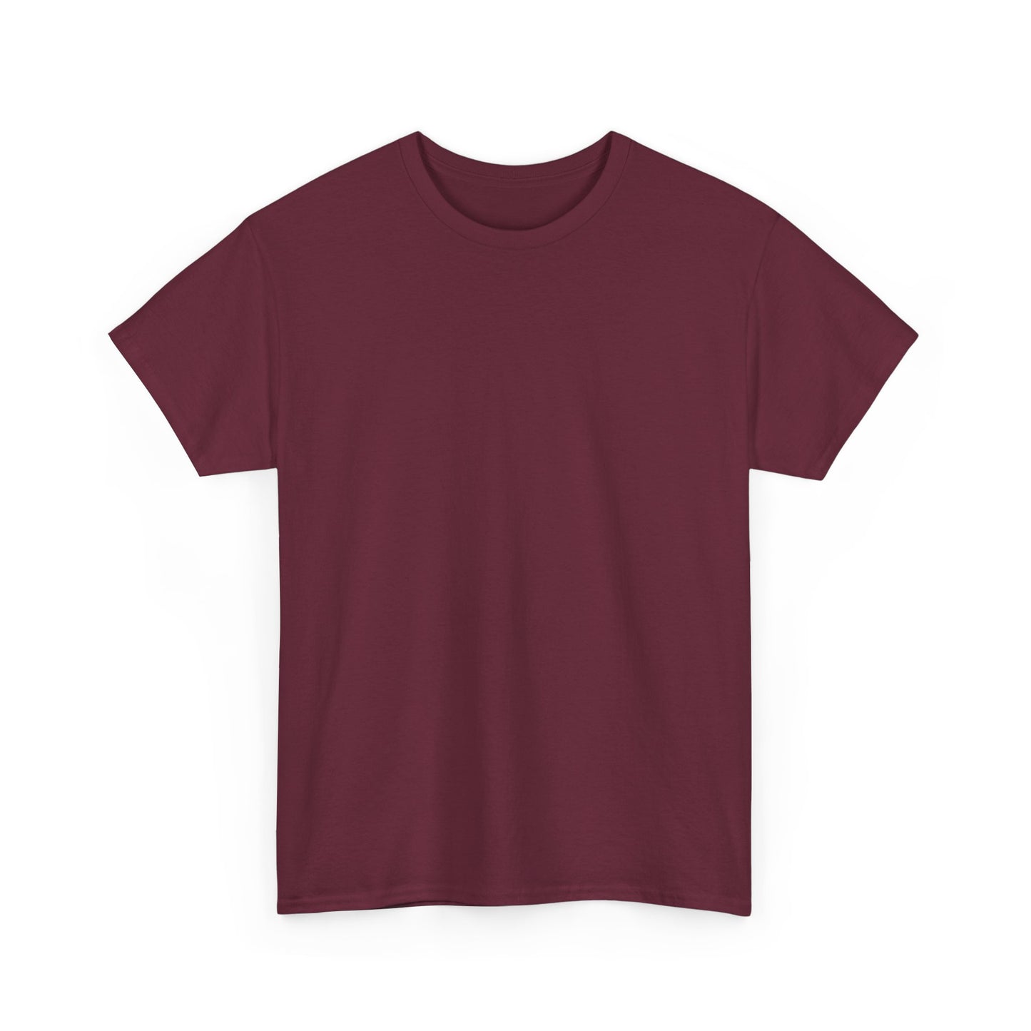 Soccer Star Graphic Tee Back — Argentina Striped Jersey Player Design
